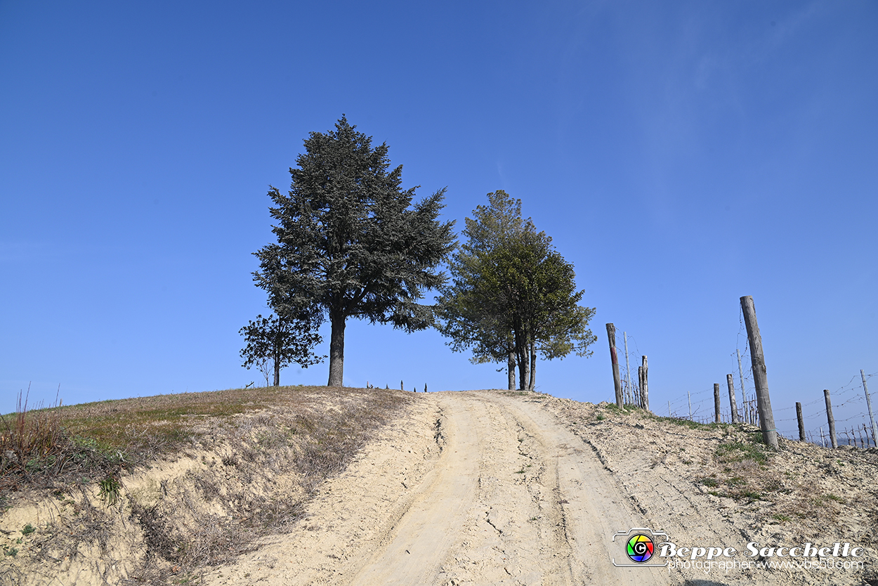 VBS_1136 - Santo Stefano Roero.jpg